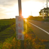 PENTAX(ペンタックス)のデジタルカメラOptio RZ18 で撮影した写真(画像