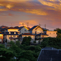 Canon - 作例あり 24-105mm F4L IS USM EF24-105mm F4L IS USMで撮影された写真 | 写真検索 | GANREF
