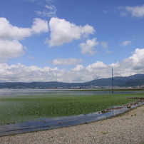 また来年の夏に・・・　終わってしまった2011夏