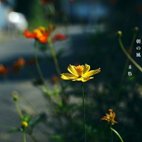 マノスページ SONY】あなたの写欲を満たしてくれる純正唯一の高倍率ズーム