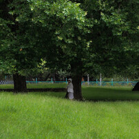 TAMRON(タムロン)のレンズ SP AF 28-75mm F/2.8 XR Di LD Aspherical