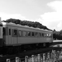 PENTAX(ペンタックス)のデジタルカメラX70 で撮影した写真(画像)一覧