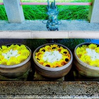 OM Digital Solutions(OMデジタルソリューションズ)のミラーレス一眼OM