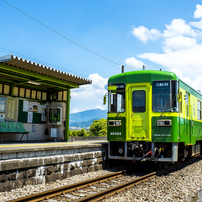 Nikon AF-S ED 28-70mm F2.8D ライトグレー Nikon - Nikon AF-S ED 28-70mm F2.8D IF ライトグレーの通販 by