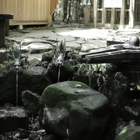 CANON(キヤノン)のレンズ EF50mm F1.8 II で撮影した写真(画像