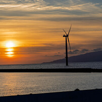 Canon - 作例あり 24-105mm F4L IS USM 初めてのLレンズにもおすすめ「EF24-105mm F4L IS USM」【新型と