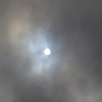 SIGMA(シグマ)のレンズ 100-400mm F5-6.3 DG OS HSM [キヤノン用