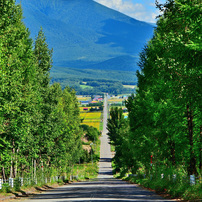 NIKON(ニコン)のレンズ AF-S DX VR Zoom-Nikkor 18-200mm f/3.5