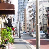 CANON(キヤノン)のデジタルカメラPowerShot SX200 IS で撮影した写真