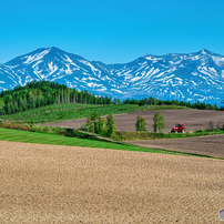 NIKON(ニコン)のレンズ AF-S NIKKOR 28-300mm f/3.5-5.6G ED VR