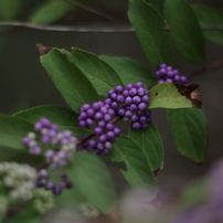 レンズ(単焦点) smc PENTAX-D FA645 55mmF2.8AL[IF] SDM AW Pentax SMC D FA 645 55mm F2.8 AL (IF) SDM AW Review | PCMag