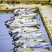 作例あり】風景から人物をこれ1本♪Nikon AF-S 18-140mm VR 作例あり