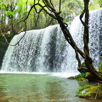 [美品/作例] Sigma AF 17-50mm f2.8 EX DC OS Sigma 17-50mm F2.8 EX DC OS HSM test and review - DXOMARK