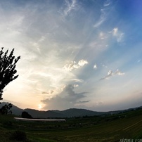SIGMA(シグマ)のレンズ 15mm F2.8 EX DG DIAGONAL FISHEYE (ｺﾆｶﾐﾉﾙﾀ AF