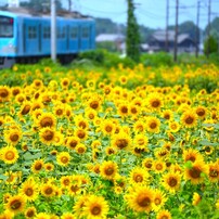 TAMRON(タムロン)のレンズ 70-300mm F/4.5-6.3 Di III RXD (Model A047