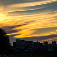 PENTAX(ペンタックス)のレンズ smc PENTAX-DA☆ 16-50mm F2.8ED AL[IF