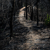 (美品)Nikon AF-S NIKKOR 35mm f/1.8G(作例添付) 作例付】ニコン AF-S DX NIKKOR 35mm f/1.8G 一本持っておきたい大口径