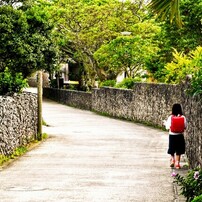 NIKON(ニコン)のデジタル一眼D5600 で撮影した写真(画像)一覧