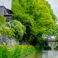 FUJIFILM(富士フイルム)のデジタルカメラFinePix F70EXR で撮影した