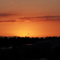 TAMRON(タムロン)のレンズ AF18-250mm F/3.5-6.3 Di II LD