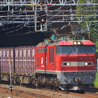 NIKON(ニコン)のレンズ AF-P DX NIKKOR 70-300mm f/4.5-6.3G ED