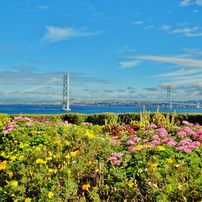 SONY(ソニー)のデジタルカメラサイバーショット DSC-WX1 で撮影した