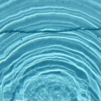 (美品)Nikon AF-S NIKKOR 35mm f/1.8G(作例添付) 作例付】ニコン AF-S DX NIKKOR 35mm f/1.8G 一本持っておきたい大口径