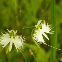 TAMRON - タムロン　ペンタックスK用18-200mmF3.5-6.3DiII XR A14 TAMRON タムロン AF 18-200mm F/3.5-6.3 XR Di II LD Aspherical