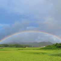 【作例あり】Canon Powershot SX740 HS コンデジ コンデジ Canon SX740で写真撮ってみたらメチャクチャ面白かった