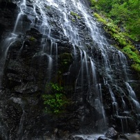 TOKINA(トキナー)のレンズ AT-X 116 PRO DX II 11-16mm F2.8 [ニコン用