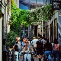 NIKON(ニコン)のレンズ AF-S DX NIKKOR 18-140mm f/3.5-5.6G ED VR で