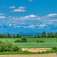 【作例あり】ニコン AF-S NIKKOR 28-300mm VR AF-S NIKKOR 28-300mm f/3.5-5.6G ED VR 中古価格比較 - 価格.com