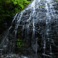 TOKINA(トキナー)のレンズ AT-X 116 PRO DX II 11-16mm F2.8 [ニコン用