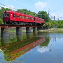 作例あり　SONY E PZ18-105F4 G OSS SONY Eマウント用Gレンズ 「E PZ 18-105mm F4 G OSS」 レポート2 撮影