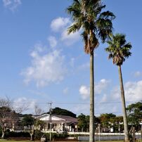 Nikon D5000 スマホより感動する写真を！超初心者歓迎 Nikon D5000 スマホより感動する写真を！超初心者歓迎