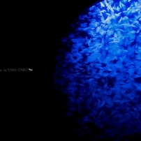 CASIO(カシオ)のデジタルカメラEX-ZR100 で撮影した写真(画像)一覧