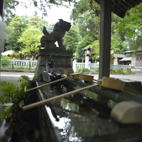 NIKON(ニコン)のレンズ Ai Nikkor 24mm F2S で撮影した写真(画像)一覧