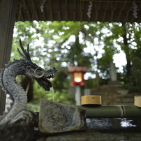 【作例あり】AI Nikkor 24mm F2S Nikon NIKKOR 24mm f/2.8 Ai-S