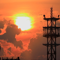 CANON(キヤノン)のレンズ EF100-400mm F4.5-5.6L IS II USM で