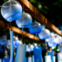 PANASONIC(パナソニック)のレンズ LUMIX G X VARIO 12-35mm/F2.8 ASPH