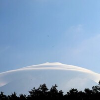 CANON EF-S 55-250mm ズームレンズ　撮影画像有り 高性能な望遠レンズ！Canon EF-S55-250mm F4-5.6 IS STM 実写