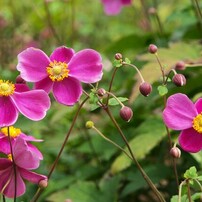 オリンパス　ズイコーデジタル12-60mm F2.8-4SWD オリンパス ズイコーデジタル ED 12-60mm F2.8-4.0 SWD 価格比較