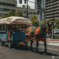 LEICA(ライカ)のレンズ ELMAR-M 24 mm f/3.8 ASPH で撮影した写真(画像