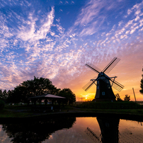 【作例】SONY SEL1635Z FE 16-35mm F4 ZA OS Vario-Tessar T* FE 16-35mm F4 ZA OSS」作例とレビュー｜広角の