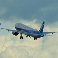 Canon EF200-400mm F4L IS USM エクステンダー1.4X 交換レンズ実写ギャラリー：キヤノン「EF 200-400mm F4 L IS USM