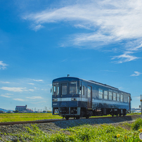 ニコン NIKON AF-S 28-70mm F2.8D ライトグレー 1911198534.jpg?1702120344