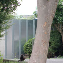 PENTAX smc DA 70mm f2.4 limited <作例アリ> PENTAX（ペンタックス） PENTAX-DA 70mmF2.4 Limited 実写レビュー