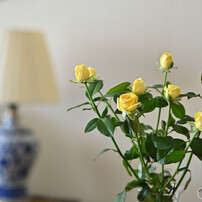 即納未開封　コシナ ULTRON 40mmF2 Aspherical SLIIS 即納未開封 コシナ ULTRON 40mmF2 Aspherical SLIIS コシナ ULTRON