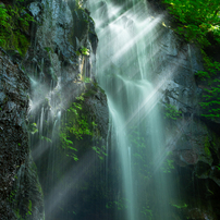 Canon EOS 5D mark IV 一眼レフカメラ(作例あり) Canon EOS 5D Mark IVを徹底解説。作例からおすすめレンズまで | ONE