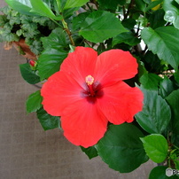 FUJIFILM(富士フイルム)のデジタルカメラFinePix F100fd で撮影した